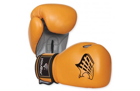 Boxing Gloves