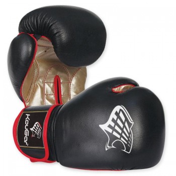 Boxing Gloves